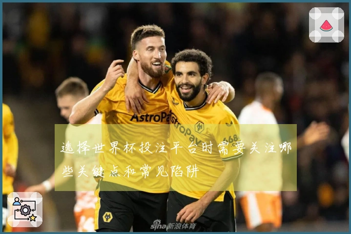 选择世界杯投注平台时需要关注哪些关键点和常见陷阱
