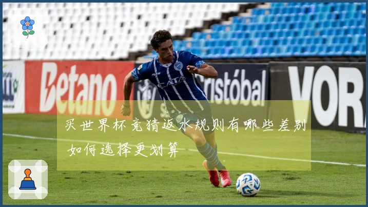 买世界杯竞猜返水规则有哪些差别 如何选择更划算