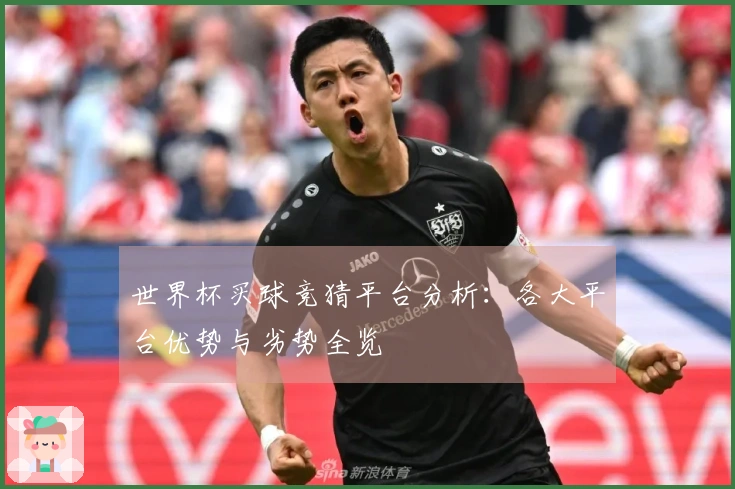 世界杯买球竞猜平台分析：各大平台优势与劣势全览