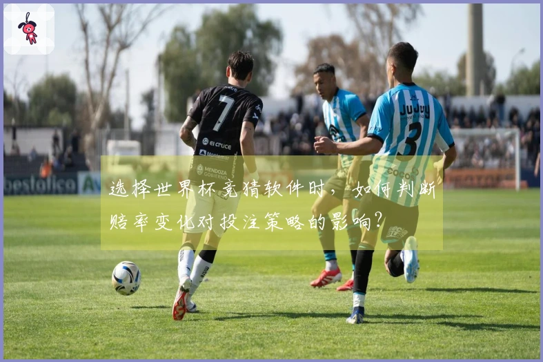 选择世界杯竞猜软件时，如何判断赔率变化对投注策略的影响？