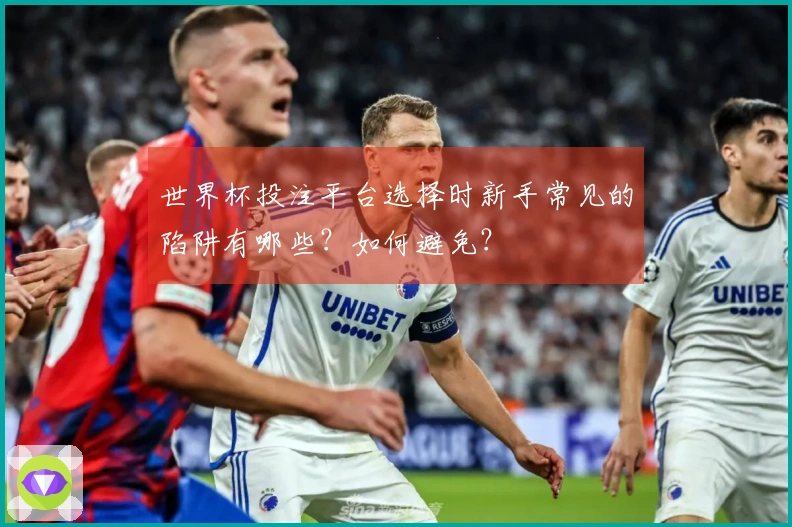 世界杯投注平台选择时新手常见的陷阱有哪些？如何避免？