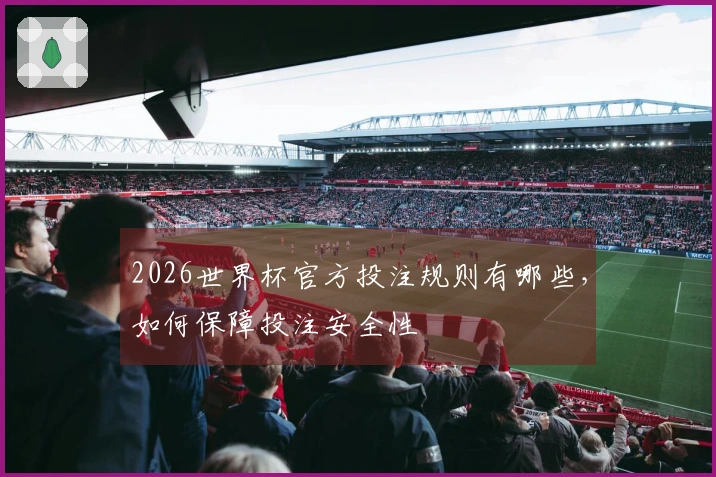 2026世界杯官方投注规则有哪些，如何保障投注安全性