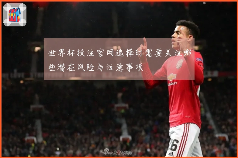 世界杯投注官网选择时需要关注哪些潜在风险与注意事项