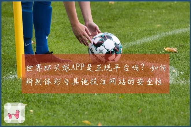 世界杯买球APP是正规平台吗？如何辨别体彩与其他投注网站的安全性