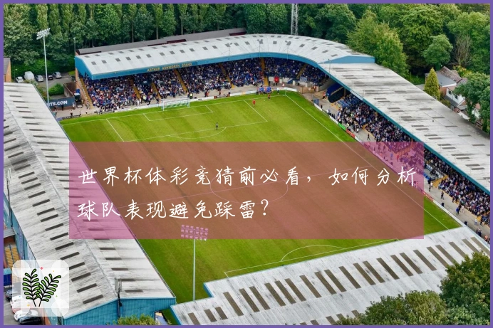 世界杯体彩竞猜前必看，如何分析球队表现避免踩雷？