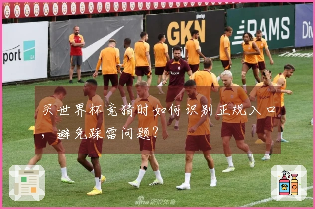 买世界杯竞猜时如何识别正规入口，避免踩雷问题？