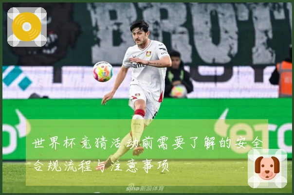 世界杯竞猜活动前需要了解的安全合规流程与注意事项