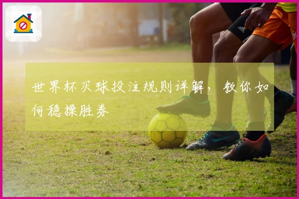 世界杯买球投注规则详解，教你如何稳操胜券