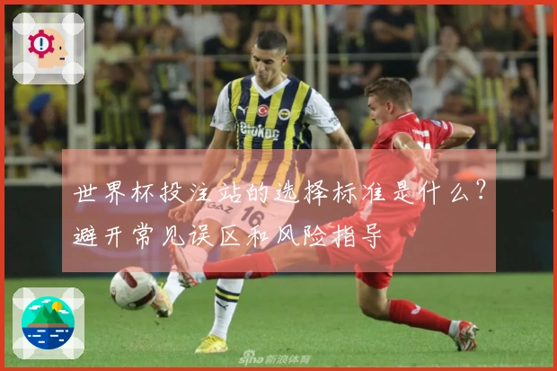世界杯投注站的选择标准是什么?避开常见误区和风险指导