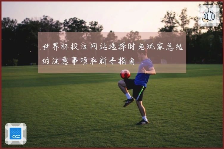 世界杯投注网站选择时老玩家总结的注意事项和新手指南