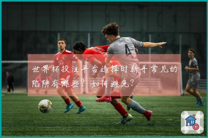 世界杯投注平台选择时新手常见的陷阱有哪些？如何避免？