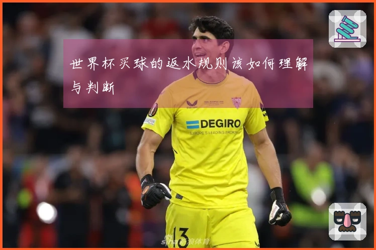 世界杯买球的返水规则该如何理解与判断