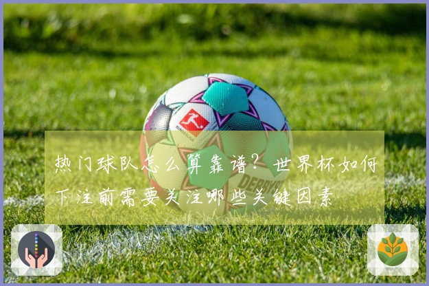 热门球队怎么算靠谱？世界杯如何下注前需要关注哪些关键因素