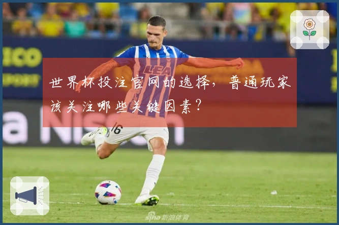 世界杯投注官网的选择，普通玩家该关注哪些关键因素？