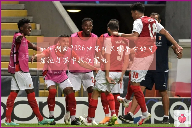 如何判断2026世界杯买球平台的可靠性与赛中投注策略