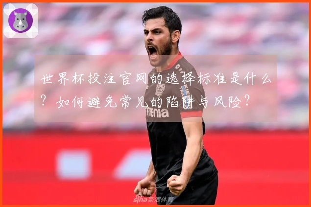 世界杯投注官网的选择标准是什么？如何避免常见的陷阱与风险？