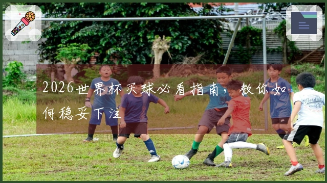 2026世界杯买球必看指南，教你如何稳妥下注