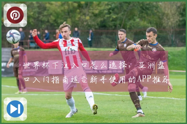 世界杯下注入口怎么选择，亚洲盘口入门指南适合新手使用的APP推荐