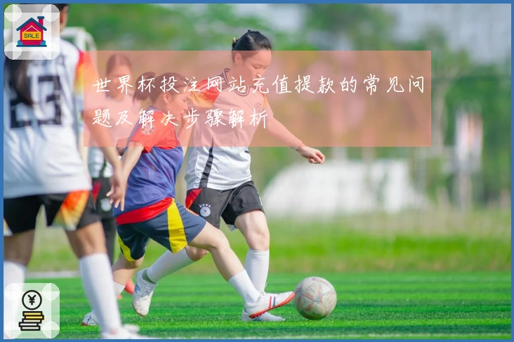 世界杯投注网站充值提款的常见问题及解决步骤解析