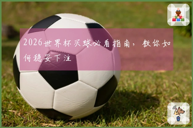 2026世界杯买球必看指南，教你如何稳妥下注