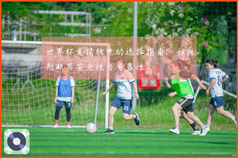 世界杯竞猜软件的选择指南：如何判断其安全性与可靠性？
