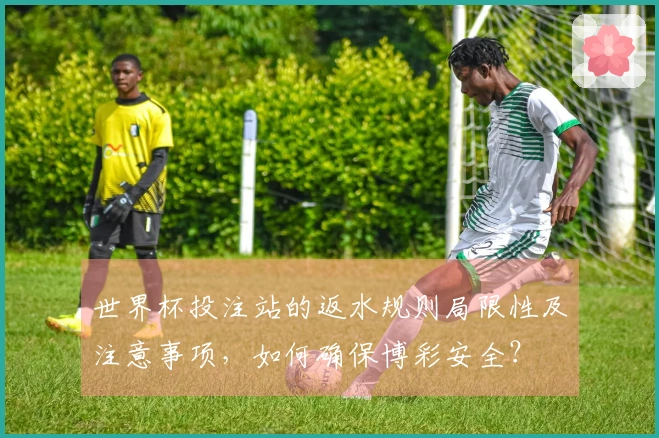 世界杯投注站的返水规则局限性及注意事项，如何确保博彩安全？