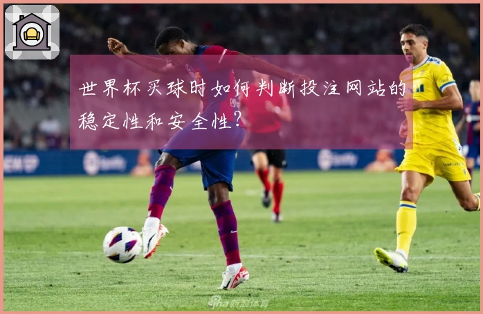 世界杯买球时如何判断投注网站的稳定性和安全性？