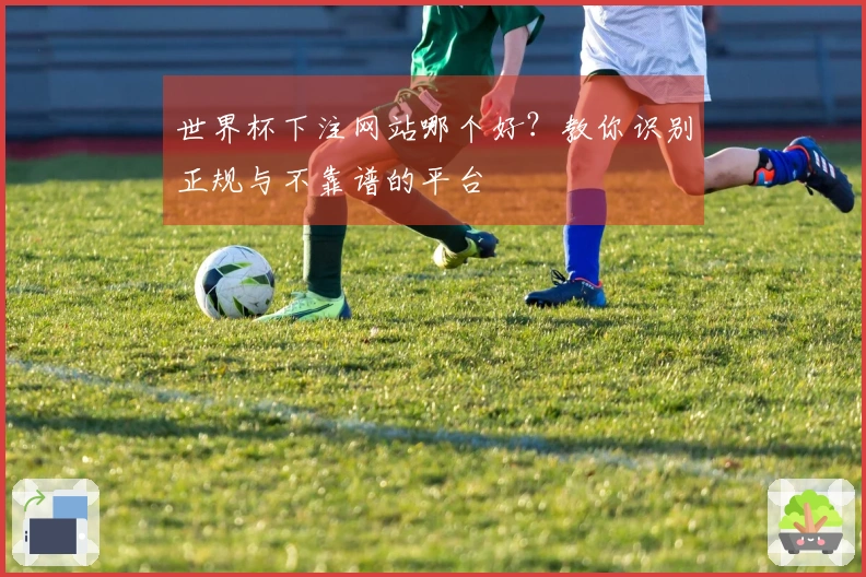 世界杯下注网站哪个好？教你识别正规与不靠谱的平台