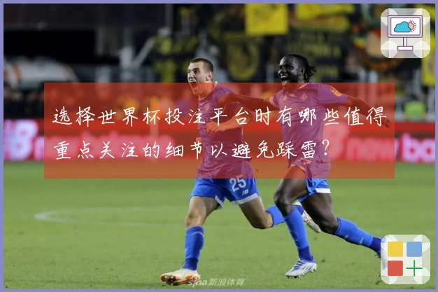 选择世界杯投注平台时有哪些值得重点关注的细节以避免踩雷？